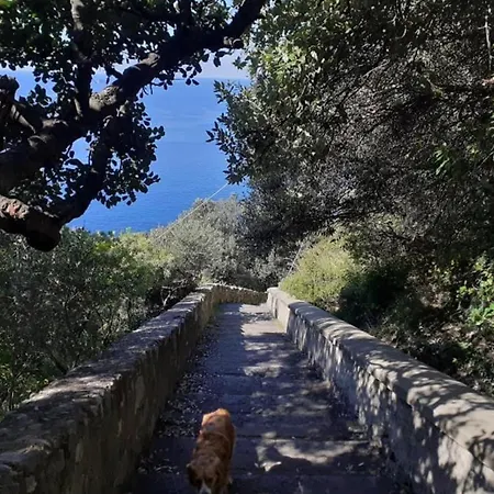 Casa Degli Dei, Angolo Di Paradiso Nocelle-positano Apartman