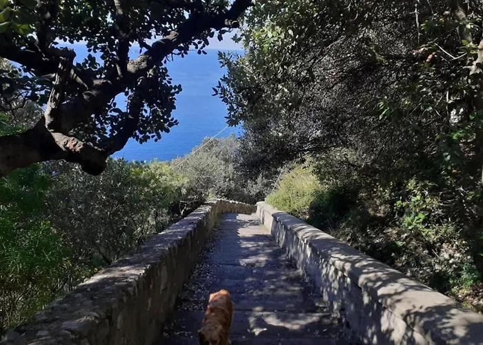 Casa Degli Dei, Angolo Di Paradiso Nocelle-positano Apartament